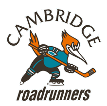 2013 Cambridge roadrunners Girls' Hockey Tournament!